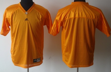 Men's Tennessee Volunteers Customized Orange Jersey 