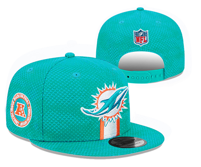 Miami Dolphins 2024 Stitched Snapback Hats 006