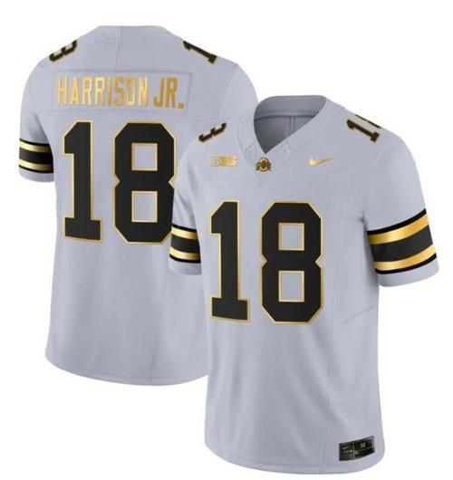 Youth Nike Ohio State Buckeyes Marvin Harrison Jr Jersey #18 College Football Stitched Gray Gold