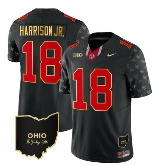 Youth Nike Ohio State Buckeyes Marvin Harrison Jr Jersey #18 College Football Stitched Alternate Black Gold Trim