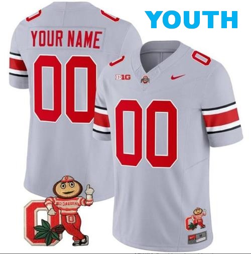 Youth Nike Custom Ohio State Buckeyes Jersey Name and Number Mascot Patch College Football Gray