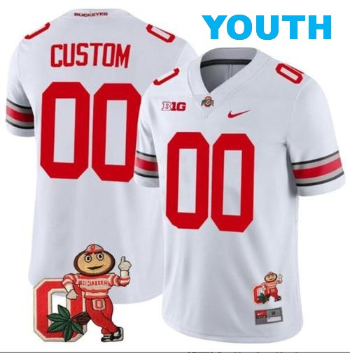 Youth Nike Custom Ohio State Buckeyes Jersey Name and Number Mascot Patch College Football White