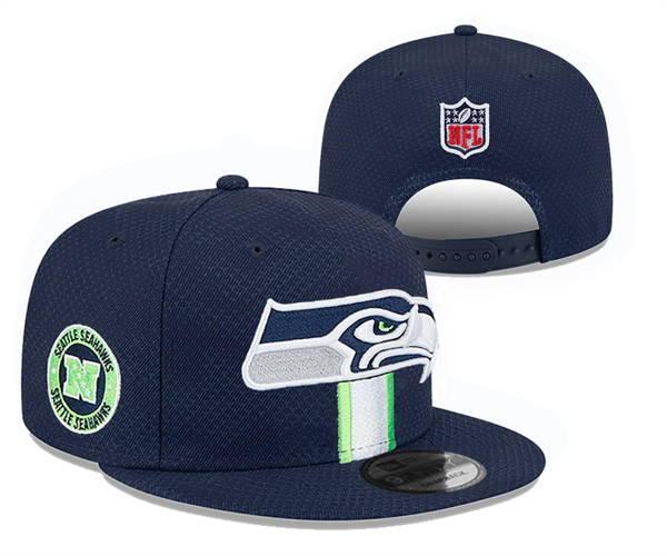 Seattle Seahawks 2024 Stitched Snapback Hats 004