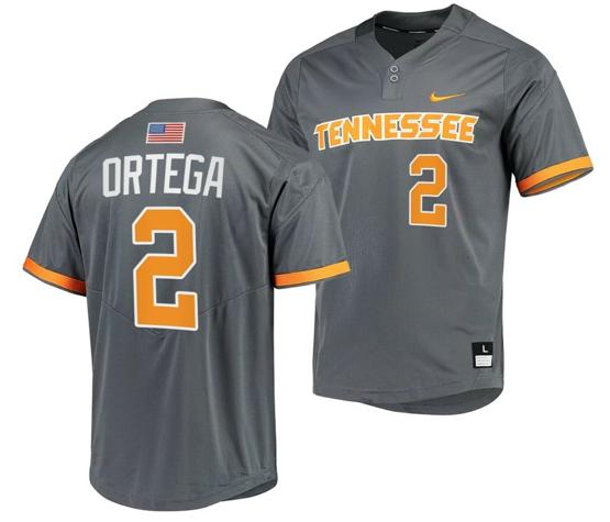 Men's Jorel Ortega Jersey Tennessee Volunteers College Baseball Grey #2