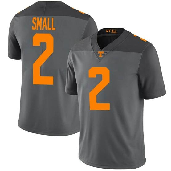 Men's Tennessee Volunteers Jabari Small Jersey #2 College Football Gray