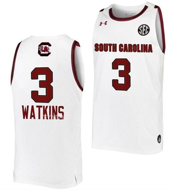 Men's Ashlyn Watkins Jersey South Carolina Gamecocks College Basketball White #3