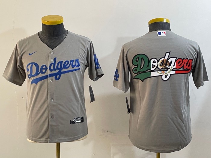 Youth Los Angeles Dodgers Big Team Logo Patch Grey Nike Limited Jersey Mexico