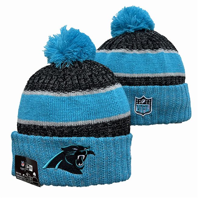 Carolina Panthers 2025 Knit Hats 004