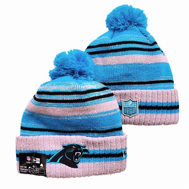 Carolina Panthers 2025 Knit Hats 005