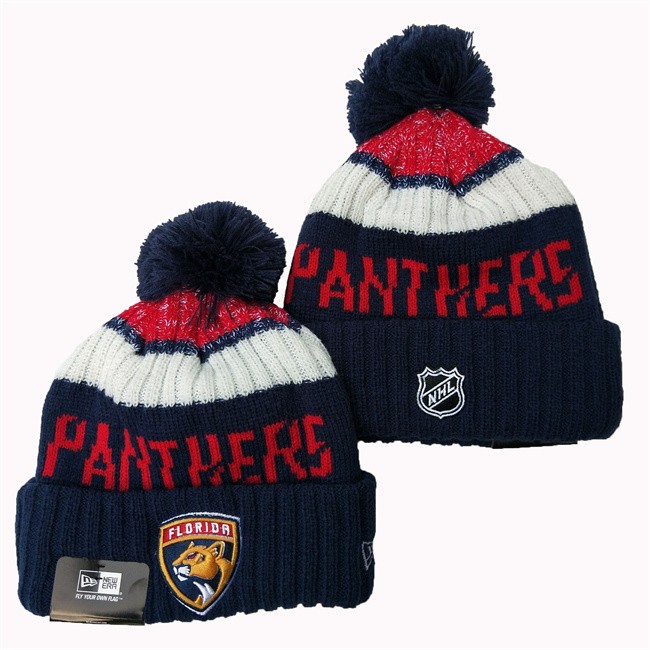 Florida Panthers 2025 Knit Hats 001