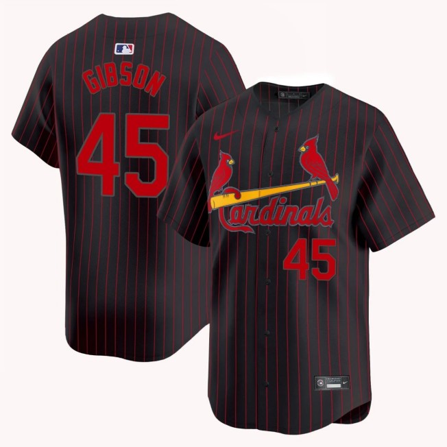 Youth St. Louis Cardinals #45 Bob Gibson Nike Pinstripe Brown Limited Stitched Baseball Jersey
