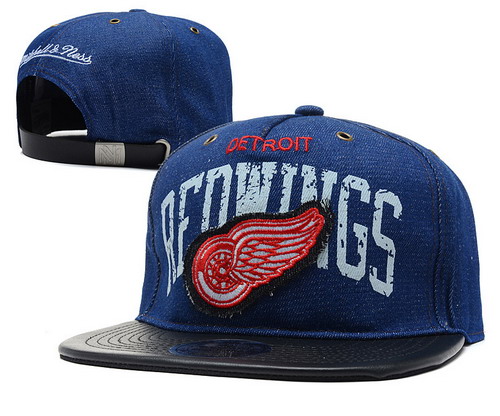 Detroit Red Wings Snapbacks YD001