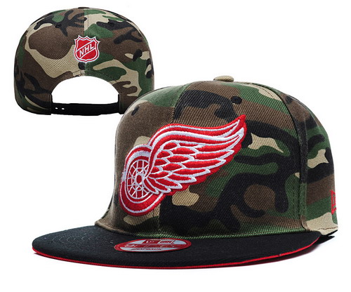 Detroit Red Wings Snapbacks YD008